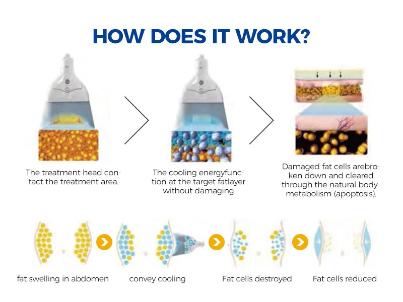 product-800-600 product-800-600